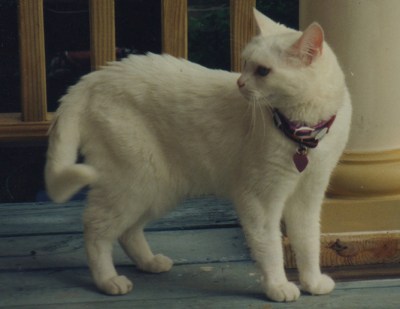 Täche turns back while assessing the situation to see if she could escape on a Saturday afternoon in the summer of 2001